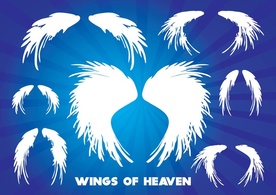 Wings of Heaven Preview